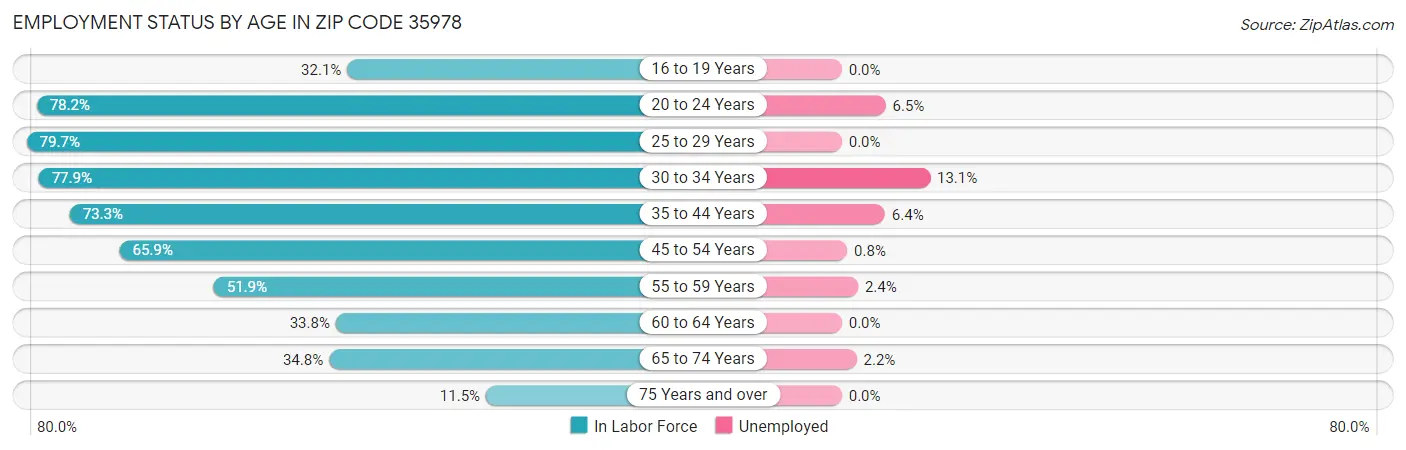 Employment Status by Age in Zip Code 35978