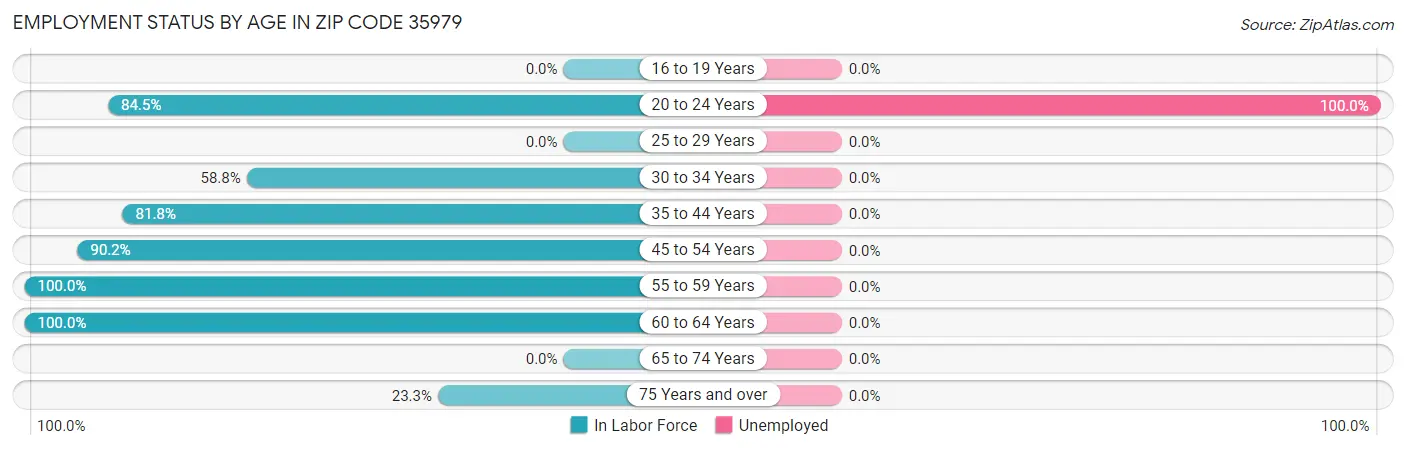 Employment Status by Age in Zip Code 35979