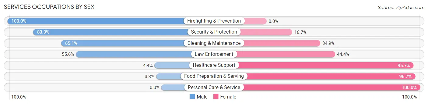 Services Occupations by Sex in Zip Code 35980