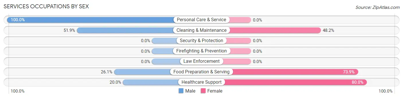 Services Occupations by Sex in Zip Code 36028