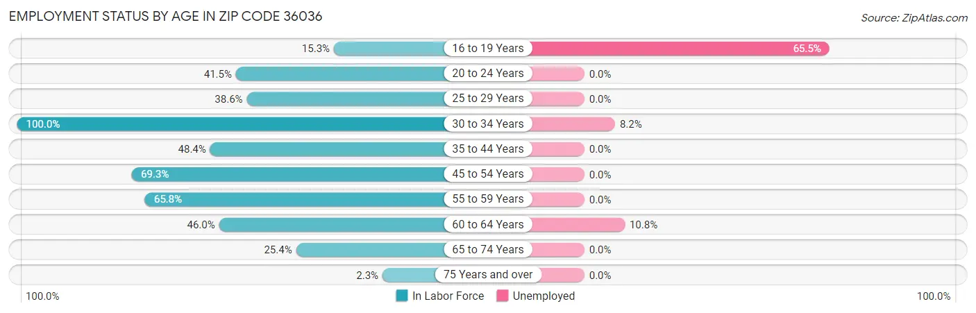 Employment Status by Age in Zip Code 36036