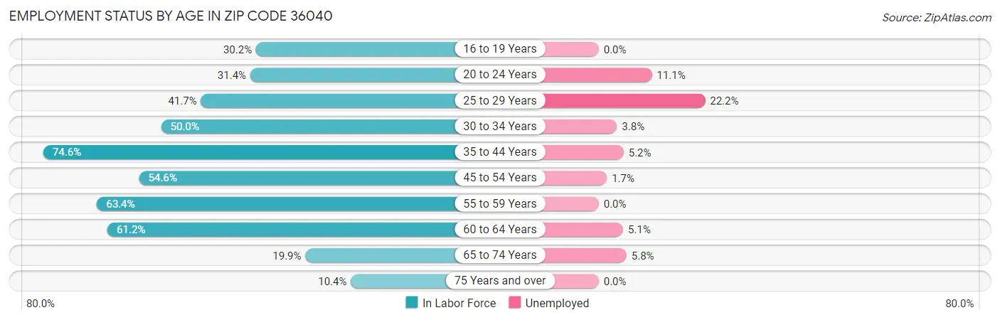 Employment Status by Age in Zip Code 36040
