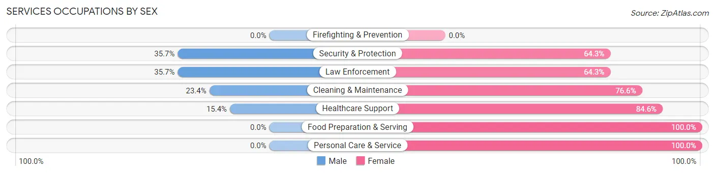 Services Occupations by Sex in Zip Code 36040