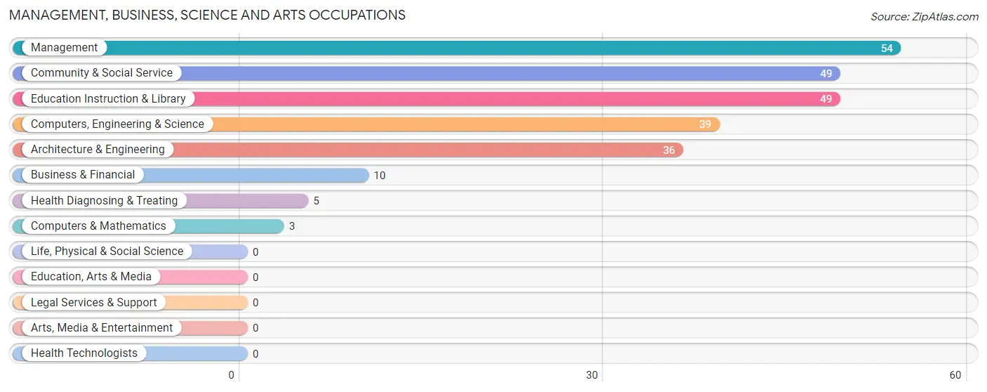 Management, Business, Science and Arts Occupations in Zip Code 36041