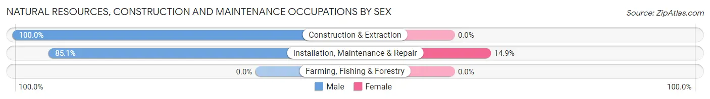 Natural Resources, Construction and Maintenance Occupations by Sex in Zip Code 36051