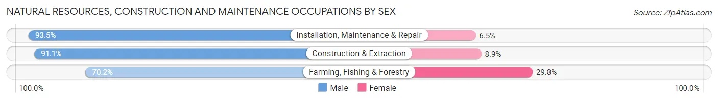 Natural Resources, Construction and Maintenance Occupations by Sex in Zip Code 36067