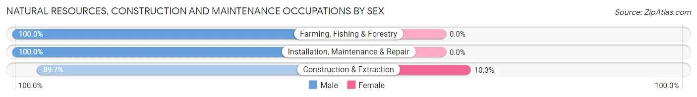 Natural Resources, Construction and Maintenance Occupations by Sex in Zip Code 36075