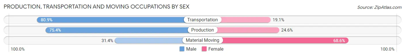 Production, Transportation and Moving Occupations by Sex in Zip Code 36079