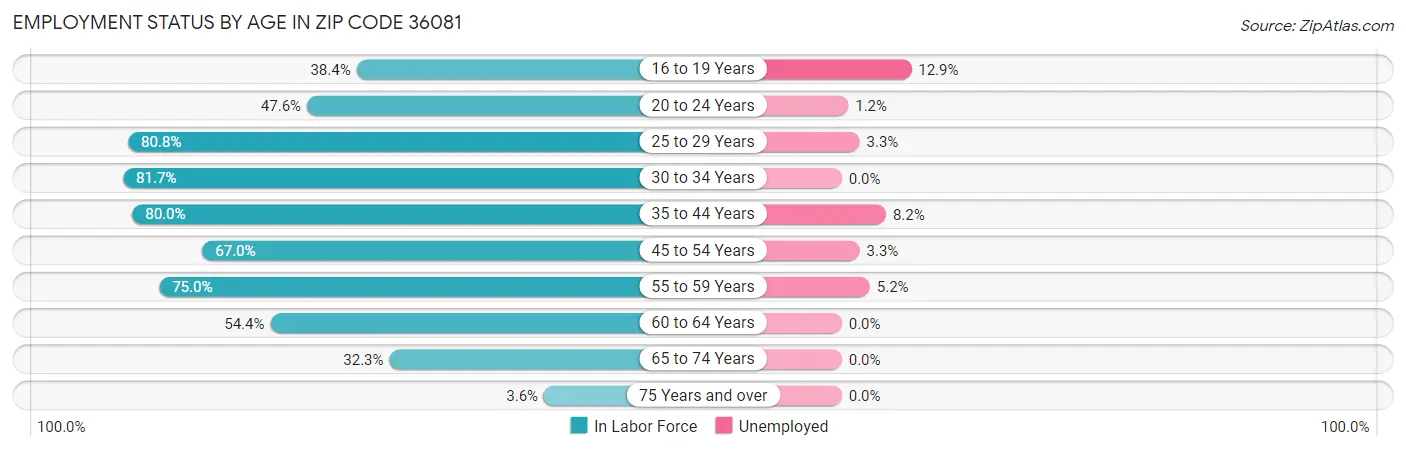 Employment Status by Age in Zip Code 36081