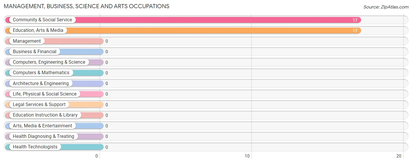 Management, Business, Science and Arts Occupations in Zip Code 36082