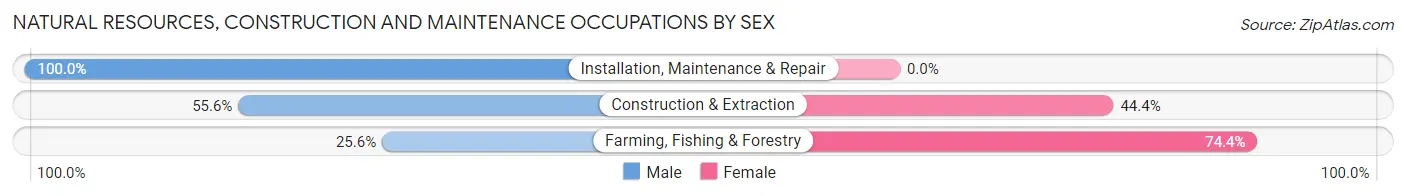 Natural Resources, Construction and Maintenance Occupations by Sex in Zip Code 36089