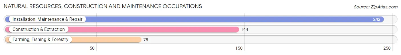 Natural Resources, Construction and Maintenance Occupations in Zip Code 36089