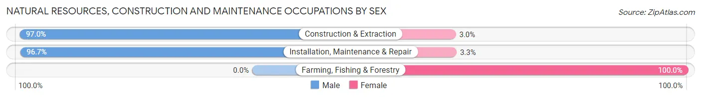 Natural Resources, Construction and Maintenance Occupations by Sex in Zip Code 36092