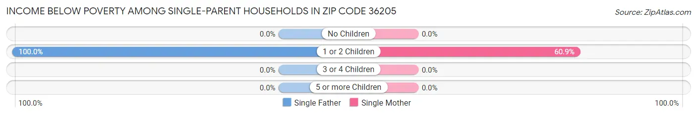 Income Below Poverty Among Single-Parent Households in Zip Code 36205