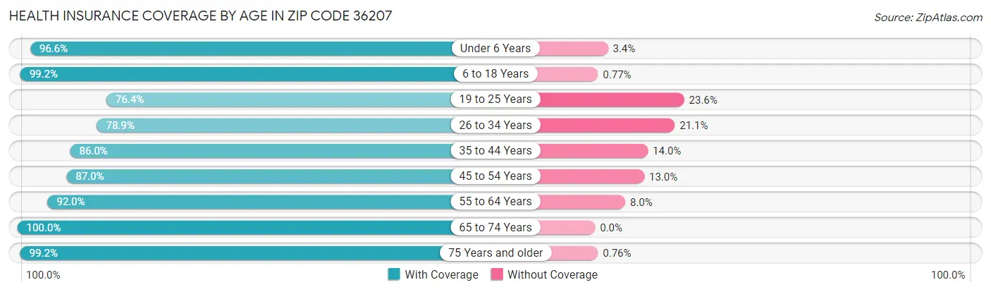 Health Insurance Coverage by Age in Zip Code 36207
