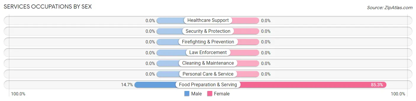 Services Occupations by Sex in Zip Code 36260