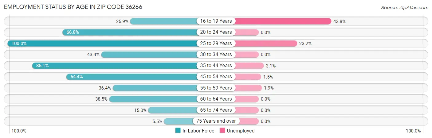 Employment Status by Age in Zip Code 36266