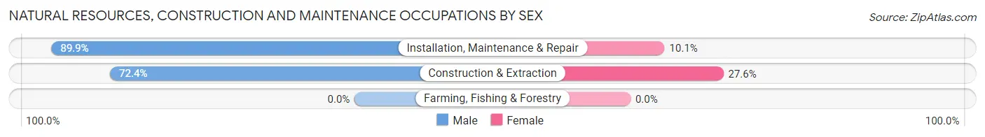 Natural Resources, Construction and Maintenance Occupations by Sex in Zip Code 36266
