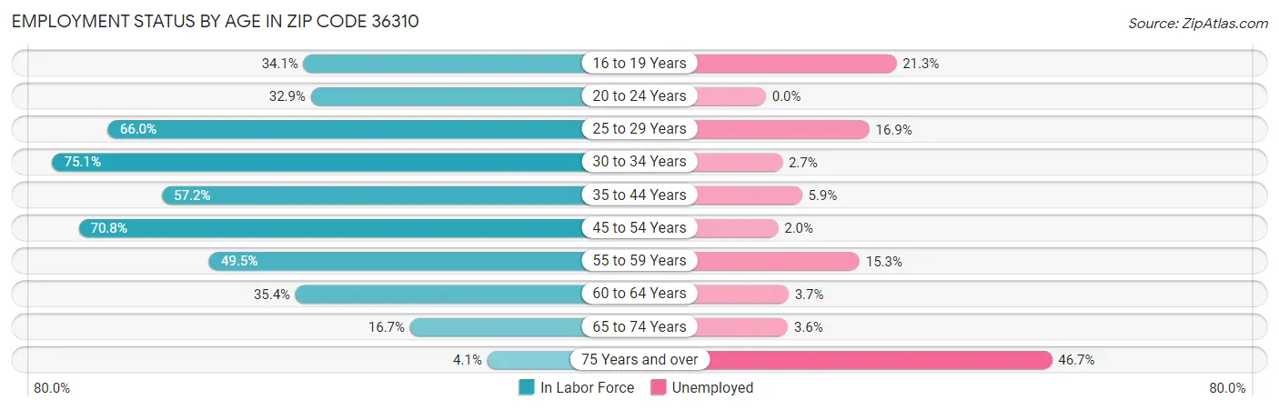 Employment Status by Age in Zip Code 36310