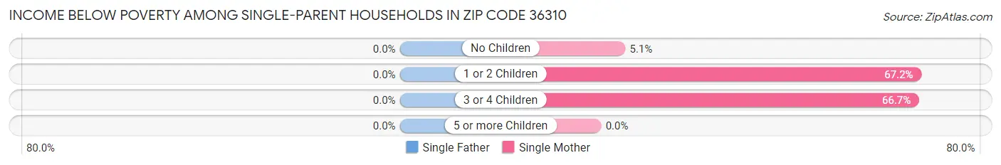 Income Below Poverty Among Single-Parent Households in Zip Code 36310
