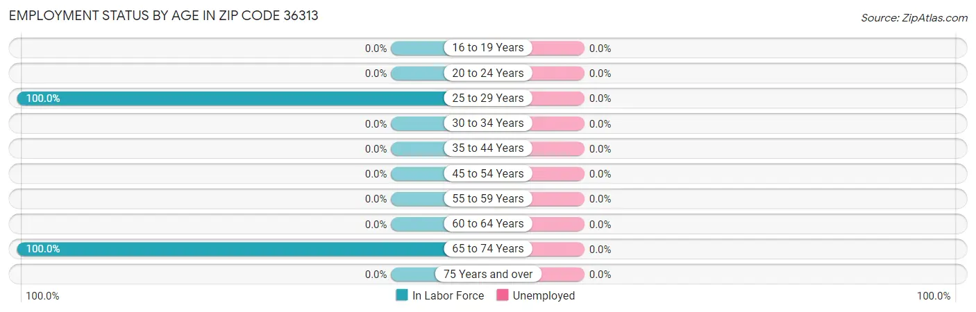Employment Status by Age in Zip Code 36313