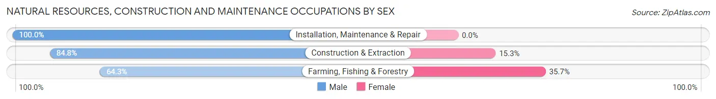 Natural Resources, Construction and Maintenance Occupations by Sex in Zip Code 36351