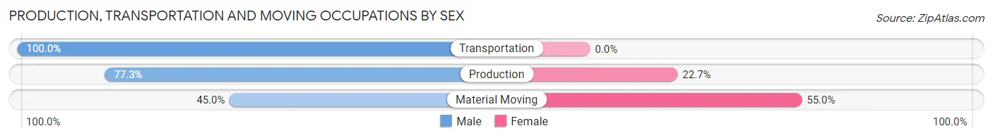 Production, Transportation and Moving Occupations by Sex in Zip Code 36371