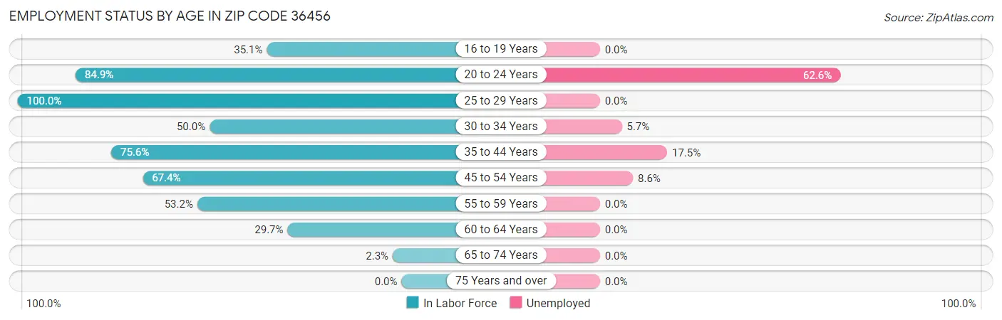 Employment Status by Age in Zip Code 36456