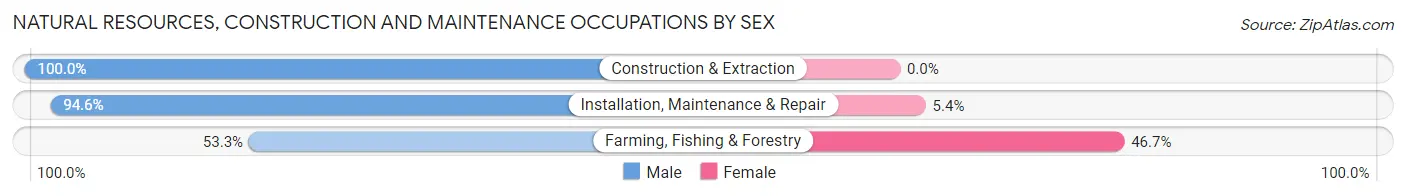 Natural Resources, Construction and Maintenance Occupations by Sex in Zip Code 36460