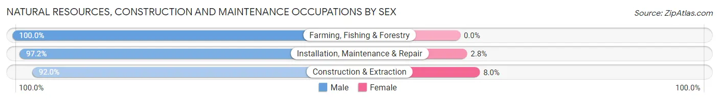 Natural Resources, Construction and Maintenance Occupations by Sex in Zip Code 36467