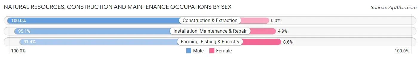 Natural Resources, Construction and Maintenance Occupations by Sex in Zip Code 36474