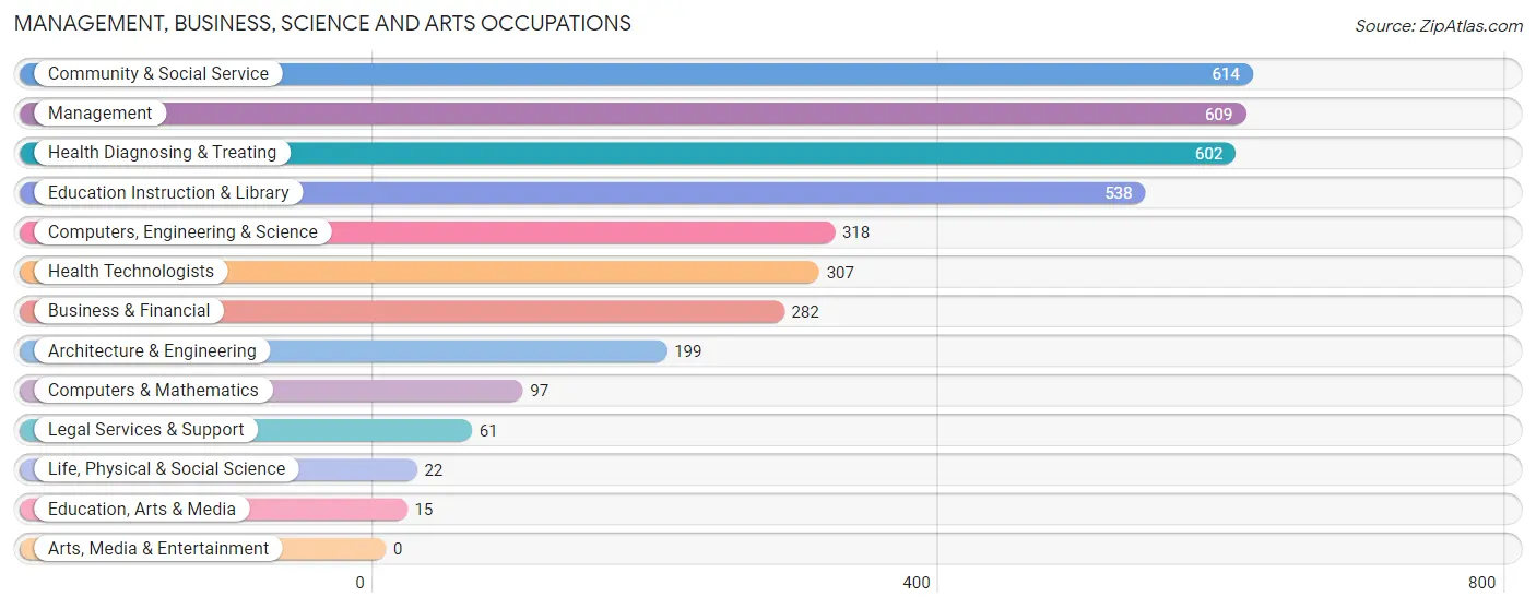 Management, Business, Science and Arts Occupations in Zip Code 36507