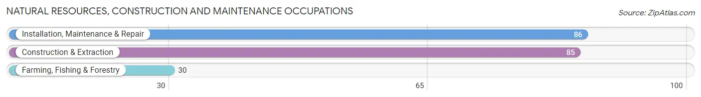 Natural Resources, Construction and Maintenance Occupations in Zip Code 36518