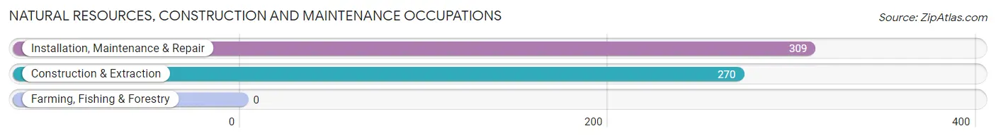 Natural Resources, Construction and Maintenance Occupations in Zip Code 36542