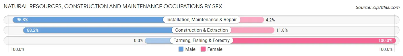 Natural Resources, Construction and Maintenance Occupations by Sex in Zip Code 36576
