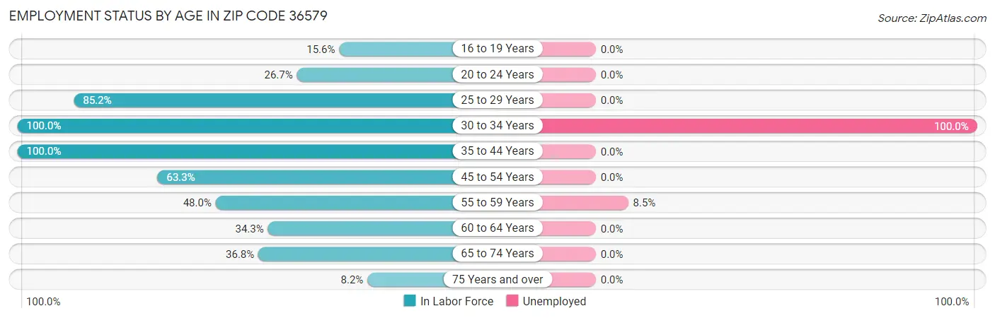 Employment Status by Age in Zip Code 36579