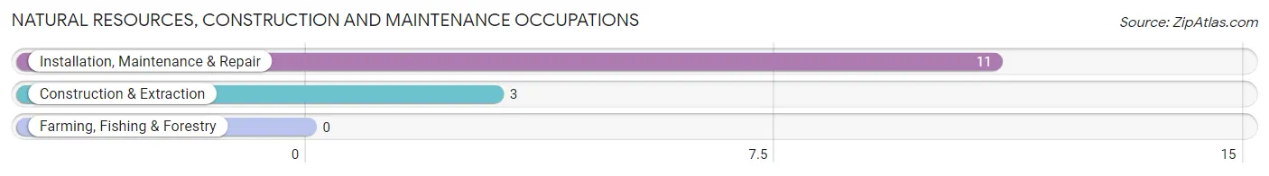 Natural Resources, Construction and Maintenance Occupations in Zip Code 36584