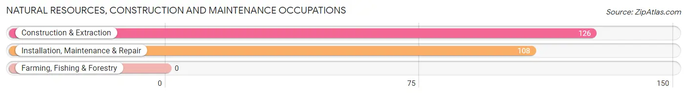 Natural Resources, Construction and Maintenance Occupations in Zip Code 36603