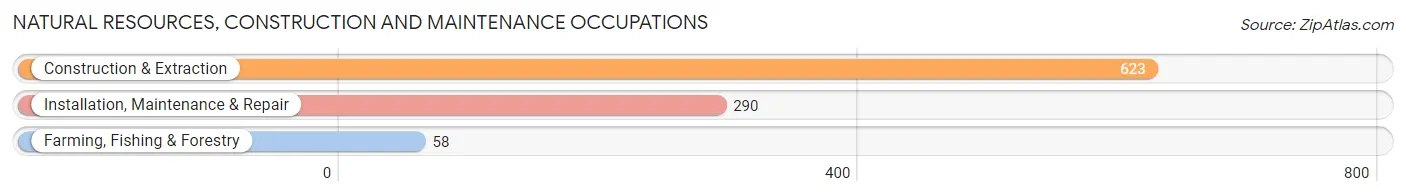 Natural Resources, Construction and Maintenance Occupations in Zip Code 36605