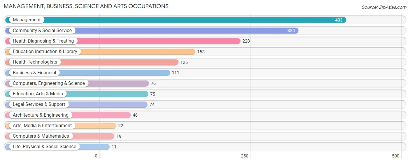 Management, Business, Science and Arts Occupations in Zip Code 36607