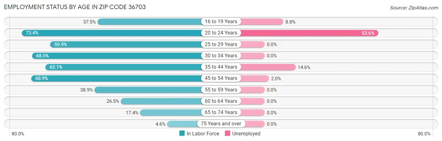 Employment Status by Age in Zip Code 36703