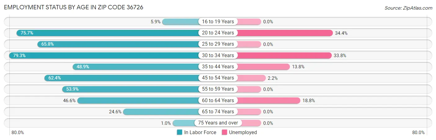 Employment Status by Age in Zip Code 36726