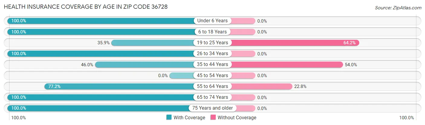 Health Insurance Coverage by Age in Zip Code 36728