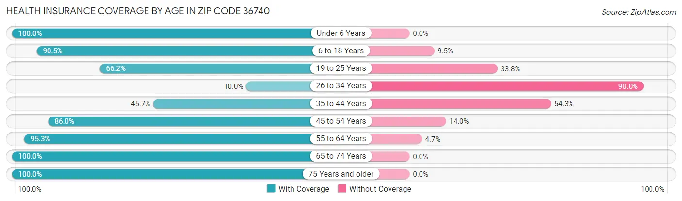 Health Insurance Coverage by Age in Zip Code 36740