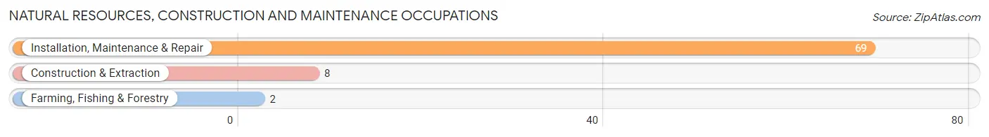 Natural Resources, Construction and Maintenance Occupations in Zip Code 36740