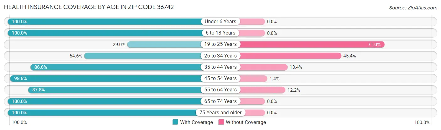 Health Insurance Coverage by Age in Zip Code 36742