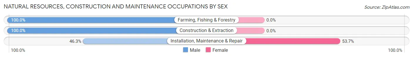 Natural Resources, Construction and Maintenance Occupations by Sex in Zip Code 36744