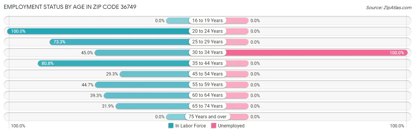 Employment Status by Age in Zip Code 36749