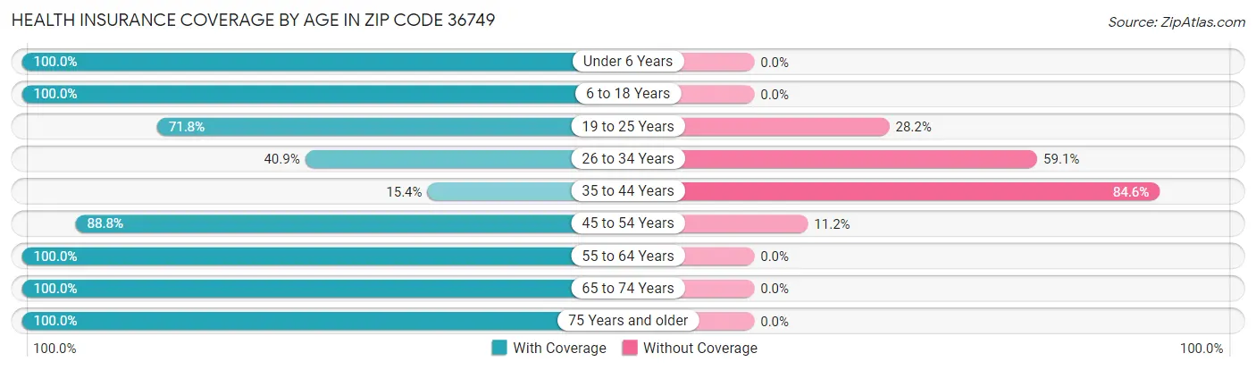Health Insurance Coverage by Age in Zip Code 36749