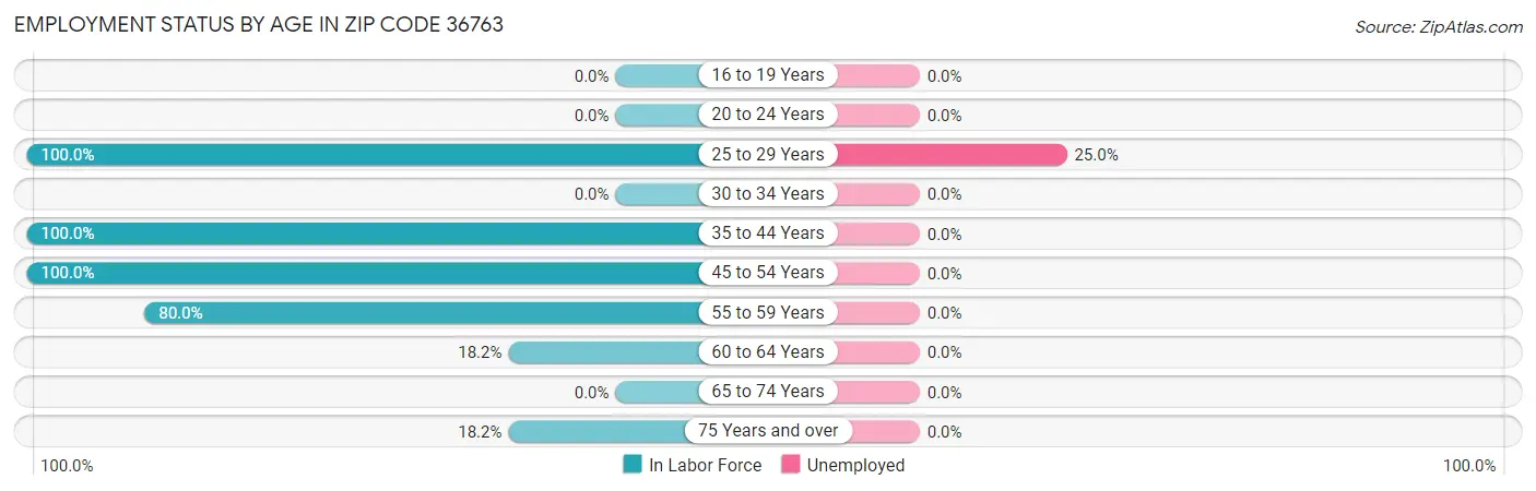 Employment Status by Age in Zip Code 36763